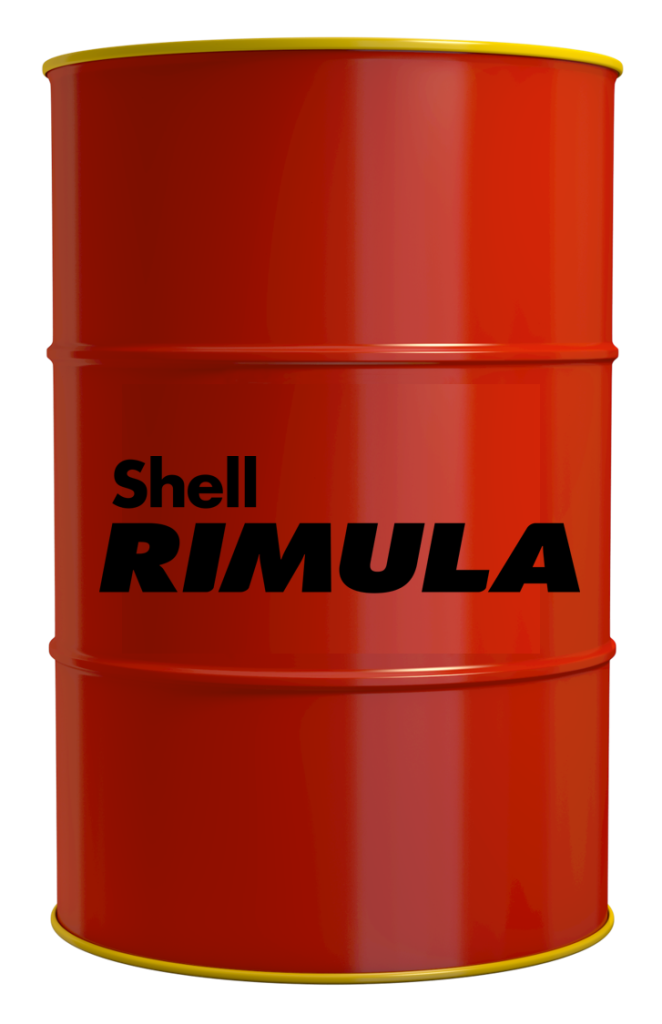 Shell-Rimula-R7